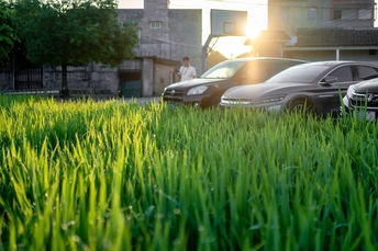 绿色草地上停着的车