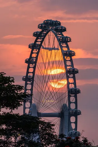 夕阳西下时分 一个大型法拉第轮在粉红色天空中剪影般呈现。