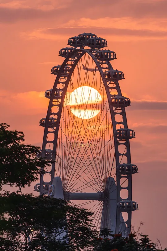 落日背景下的一个大型法拉利轮