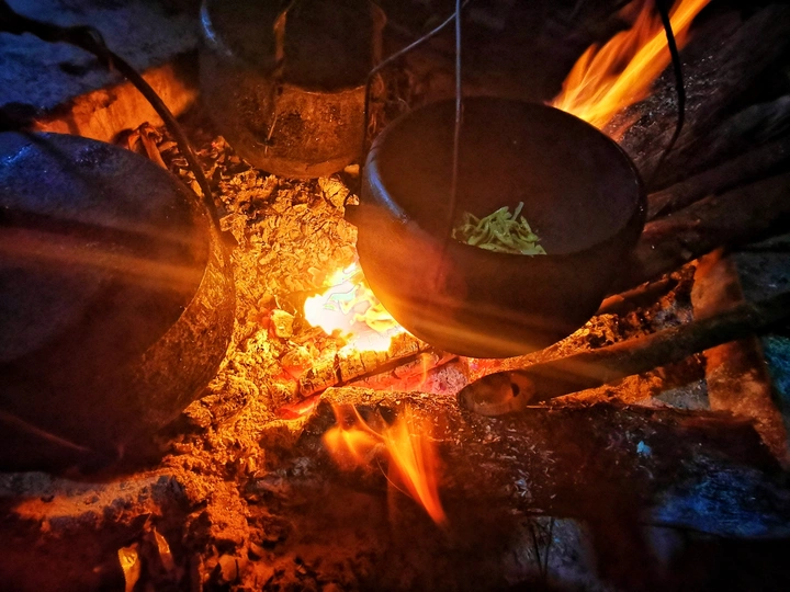 野食