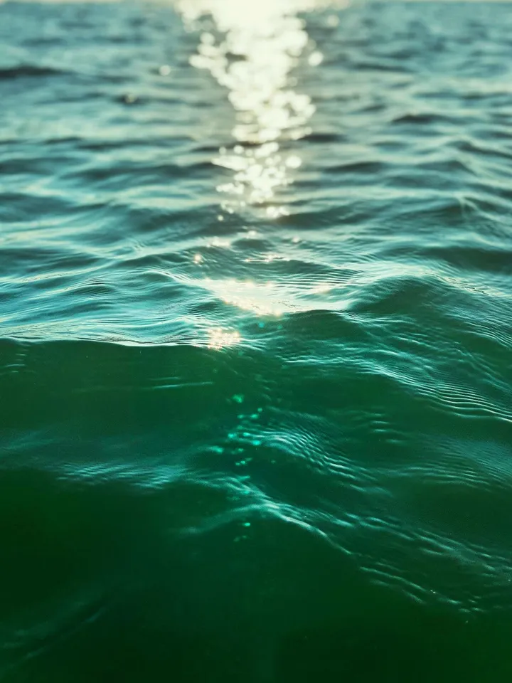 海