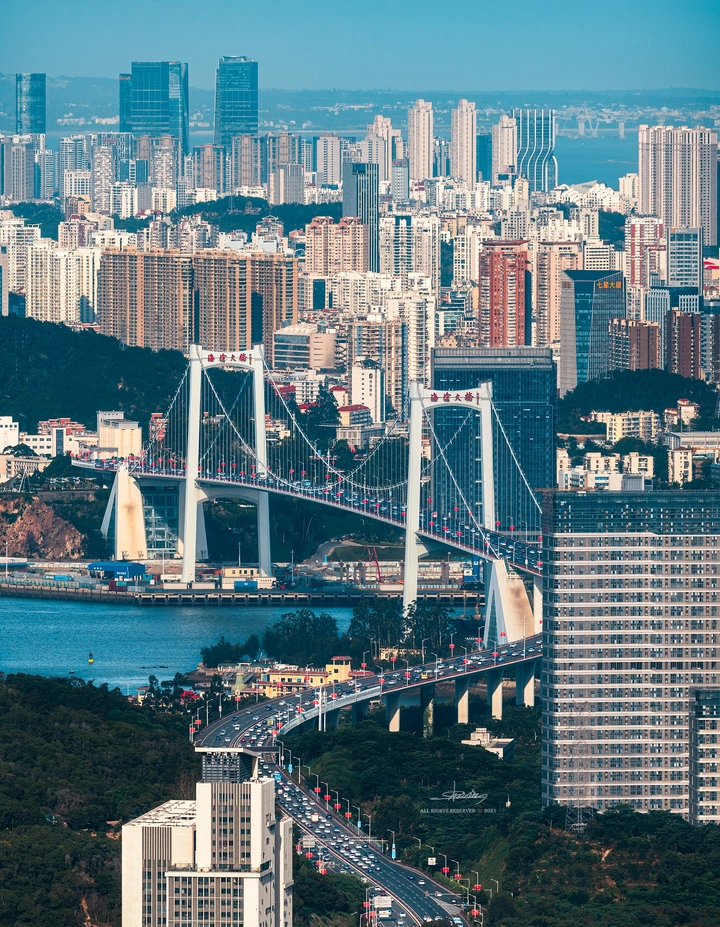 城市森林