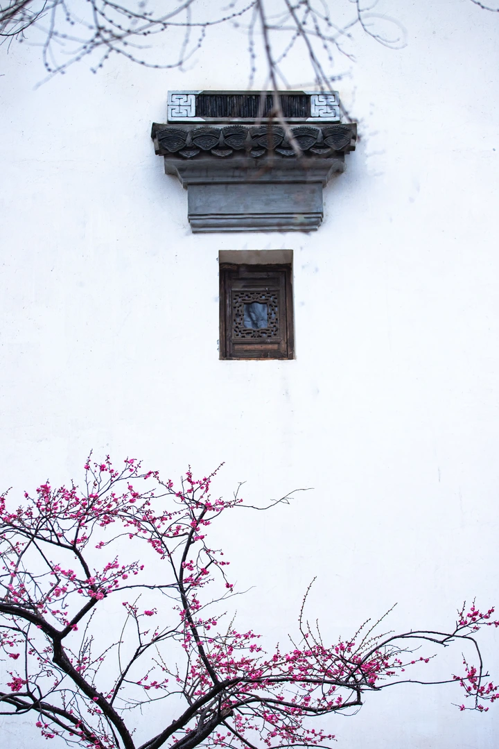 春到广富林
