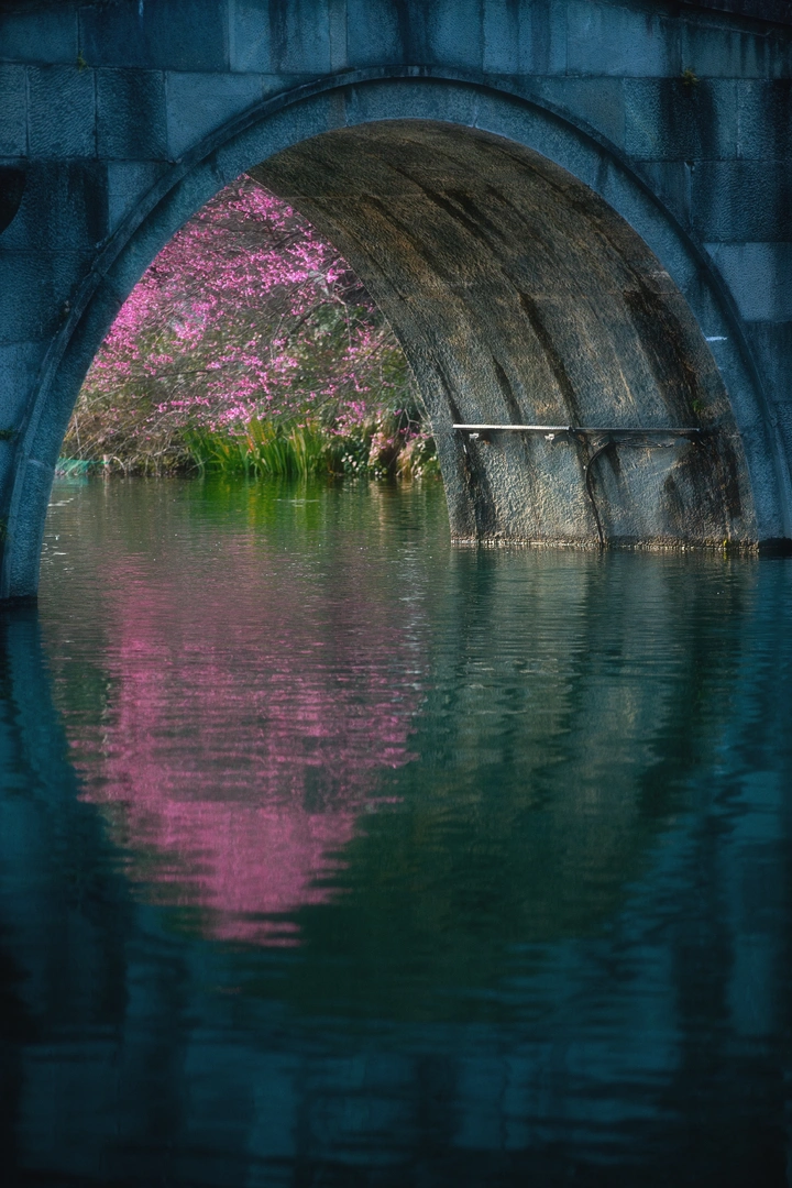 西湖春色