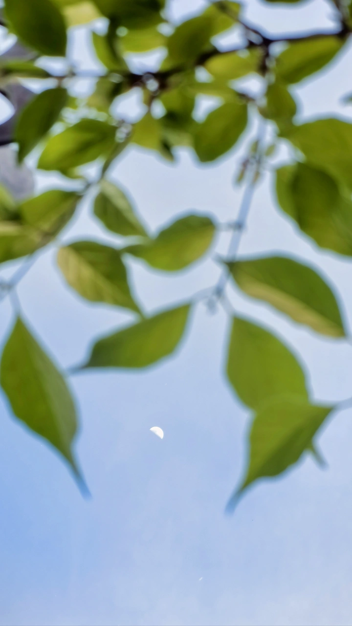 月