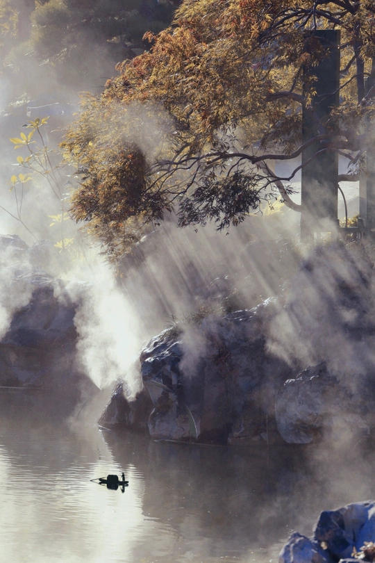 湖边的鸭子、树木和雾气的画