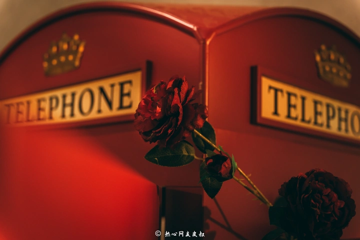 残花孤影待故人