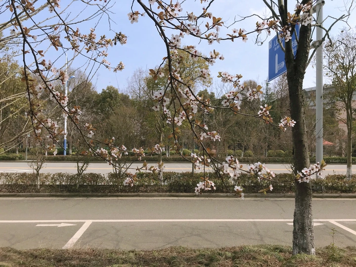 嗨