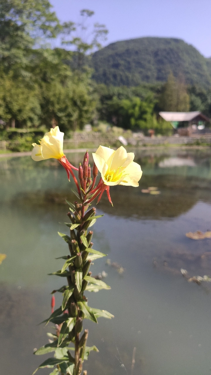 小游白水河