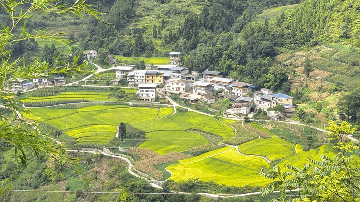 田园
