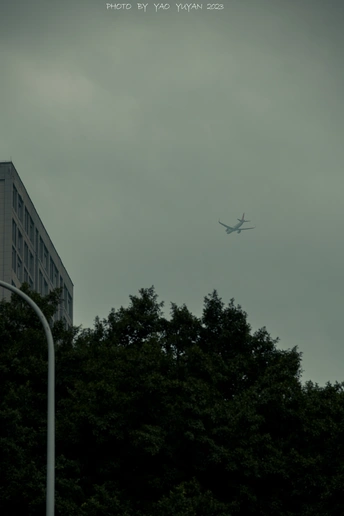 云雾缭绕的天空上飞翔着一架大型飞机 上方是郁郁葱葱的树木。