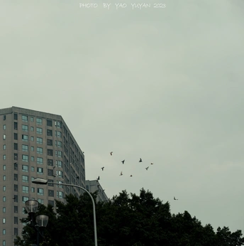 天空上飞过一群鸟 鸟群中有一些建筑物。