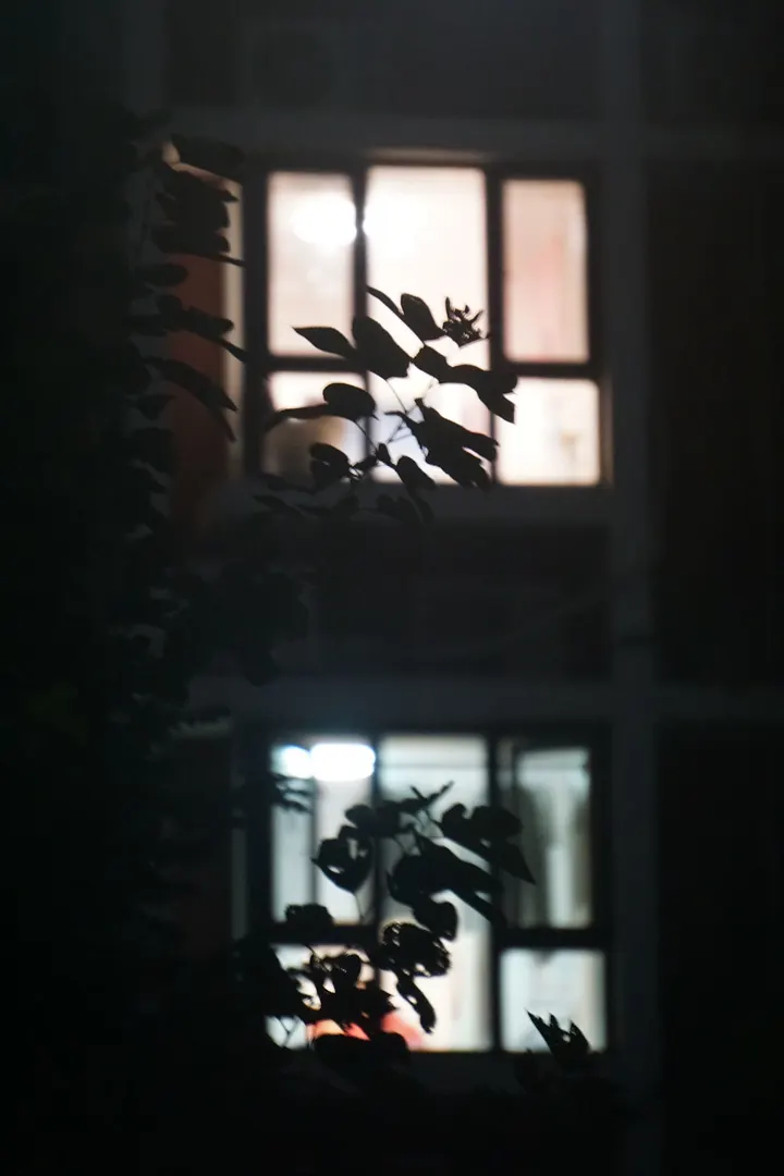 别人的窗