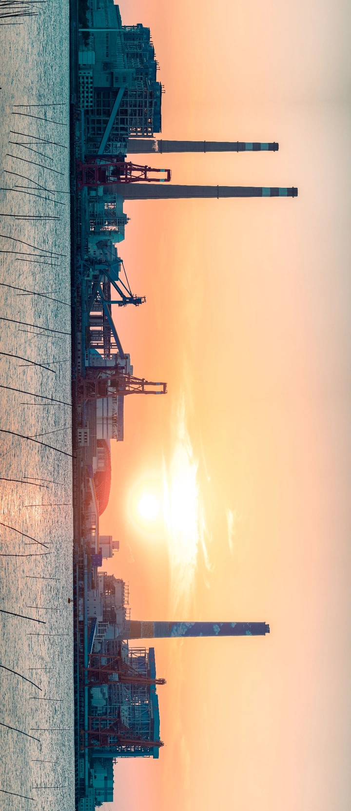 夕阳会红