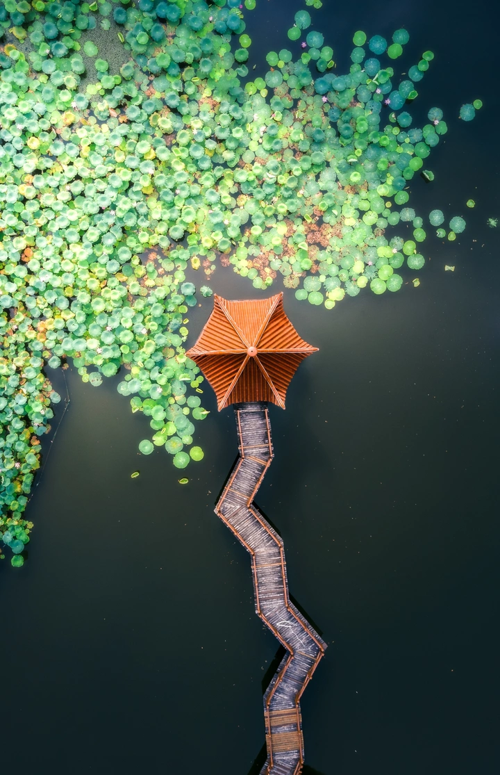湖心亭
