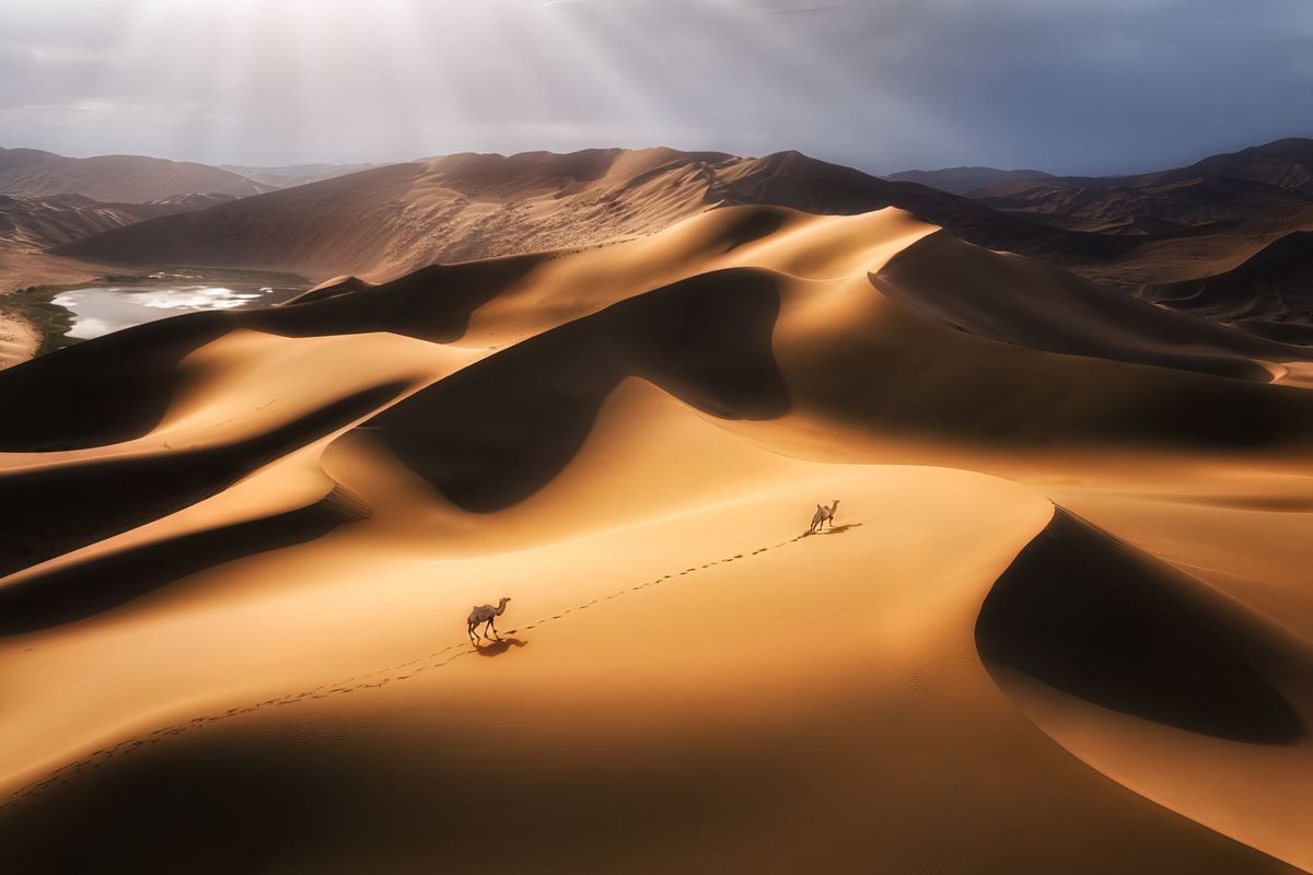 沙漠中的沙丘被阳光照亮了