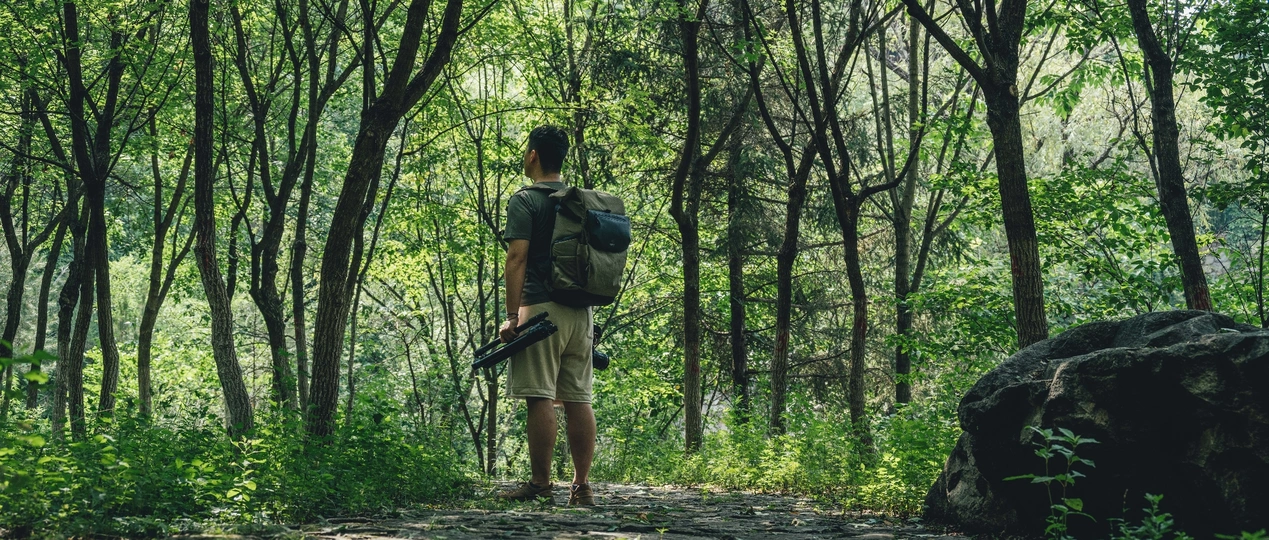 一个人背着背包站在森林小路上