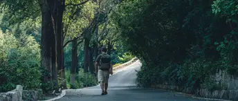 一个人打着伞走在两边种满树的道路小径上