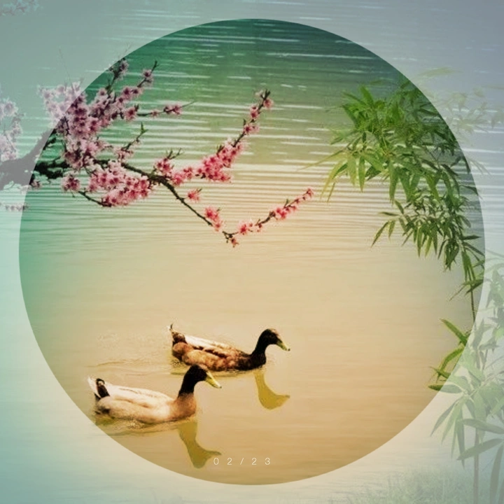 欣赏唯美且温馨多彩的自然风光
