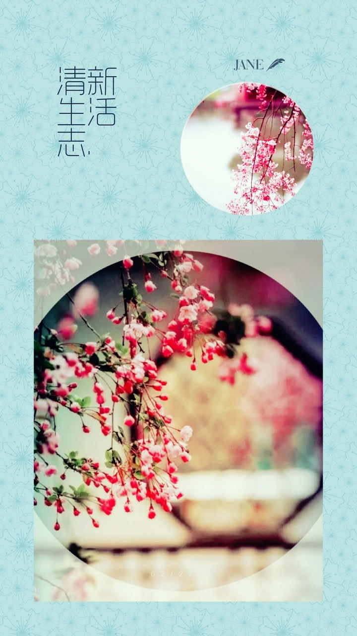 欣赏唯美且温馨多彩的花卉作品