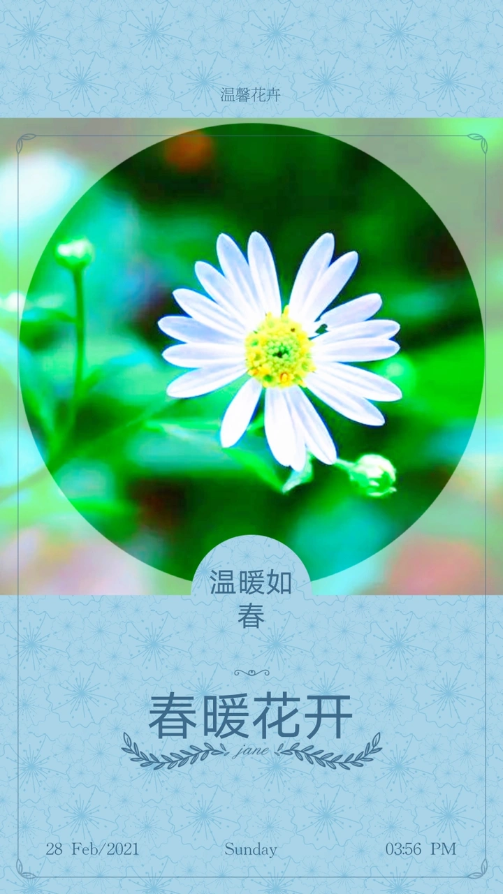 欣赏唯美且温馨多彩的花卉作品