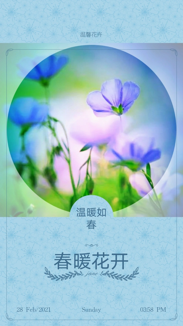 欣赏唯美且温馨多彩的花卉作品