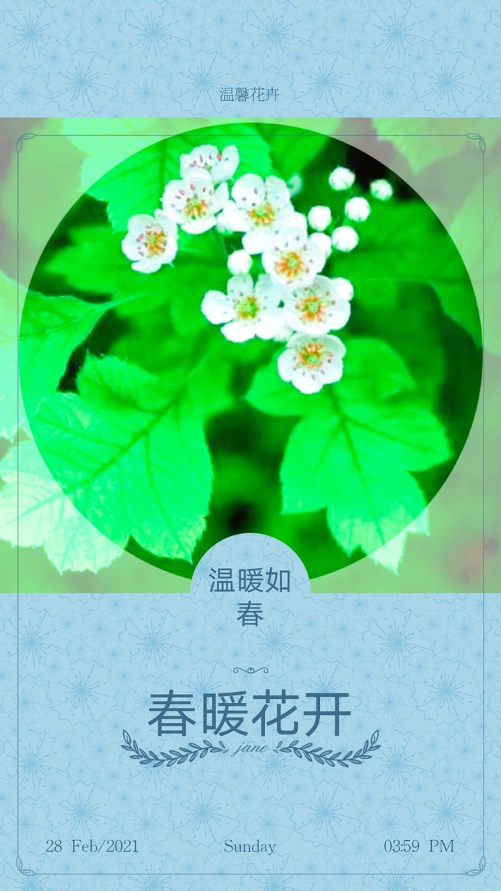 欣赏唯美且温馨多彩的花卉作品
