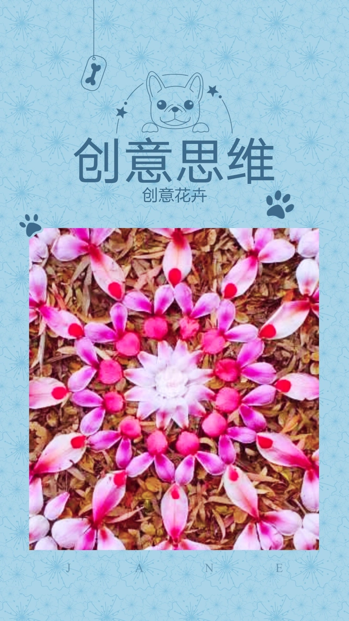 欣赏唯美且温馨多彩的花卉作品