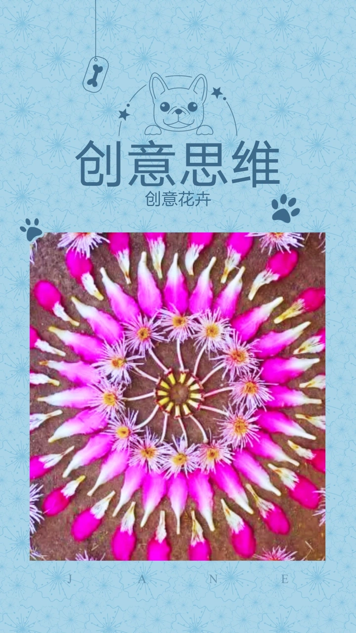 欣赏唯美且温馨多彩的花卉作品