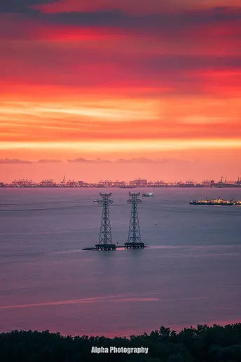 夕阳下 水面上的粉色与红色 前景中有输电线路。