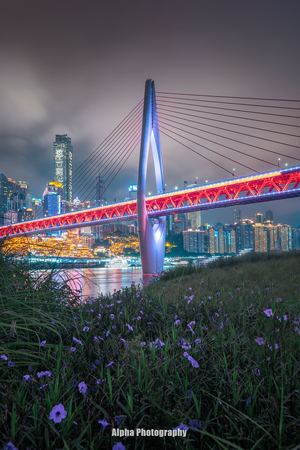 夜晚照亮的一座桥 前景是花。