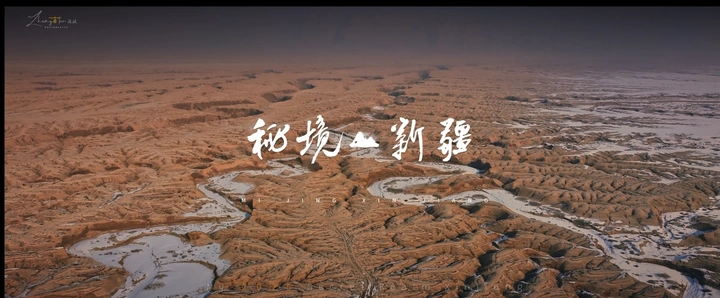秘境新疆 拜城大地之树