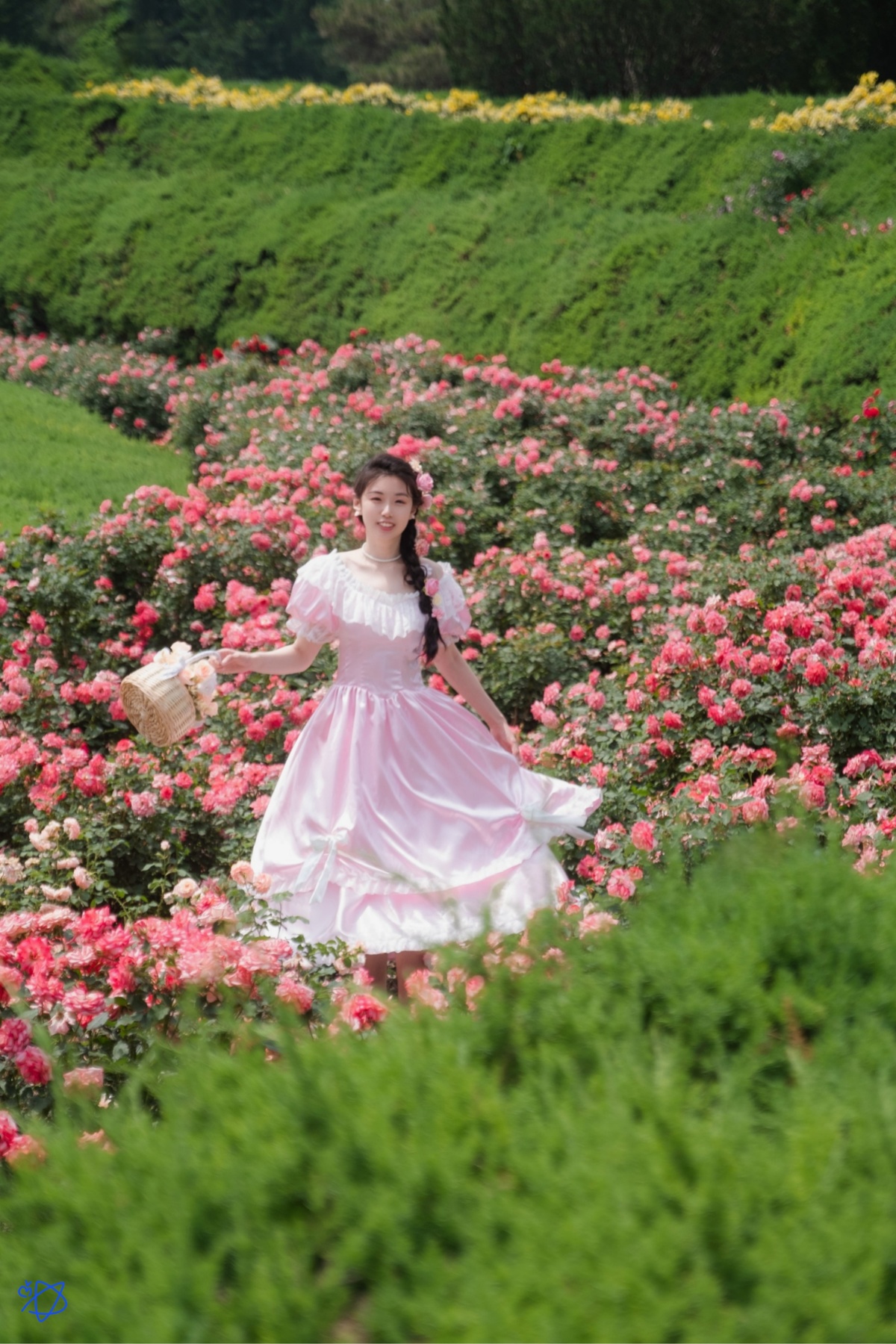一位穿着白色连衣裙的年轻女子穿过一个玫瑰花坛 玫瑰花是粉红色的。