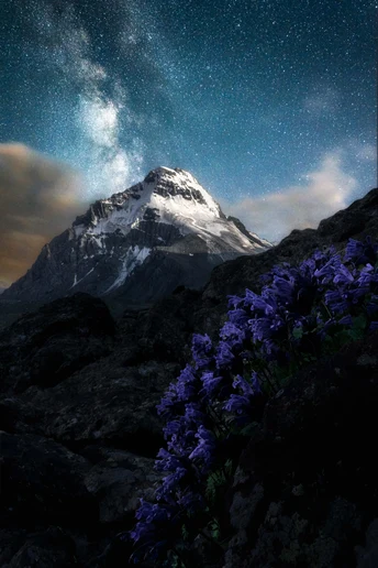 山顶开满紫色花朵 天空中繁星闪烁。