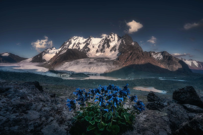 山脉上有湖泊和蓝色花朵