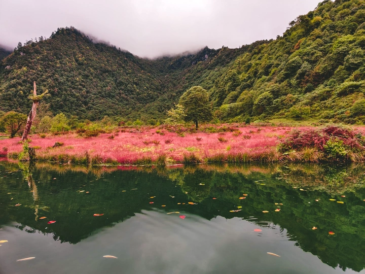 黑竹沟红草滩