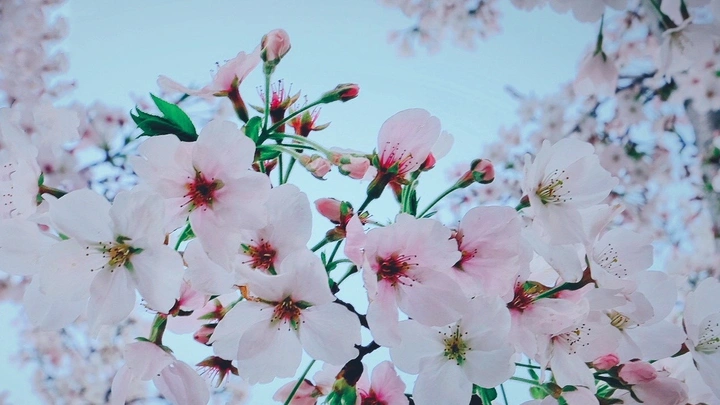 春天就要记录春天～