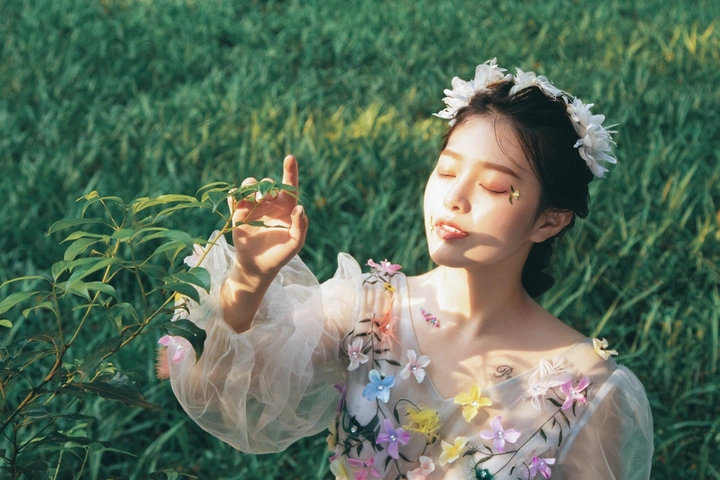 天使坠落林间