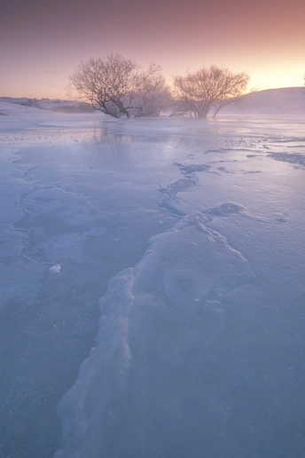 夕阳下冻结的湖面上有雪和冰 远处有一棵树。