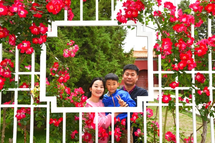 家在身边，爱在心里