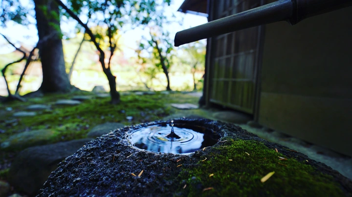 禅院