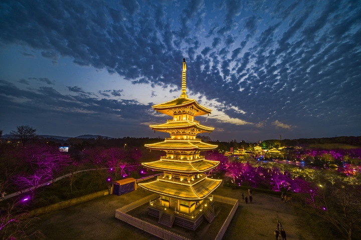 航拍武汉·樱花园夜景