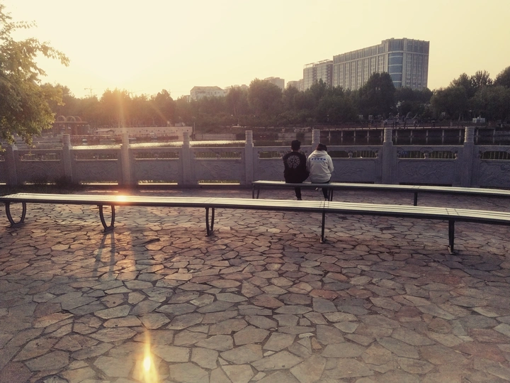 夕阳下的伴侣