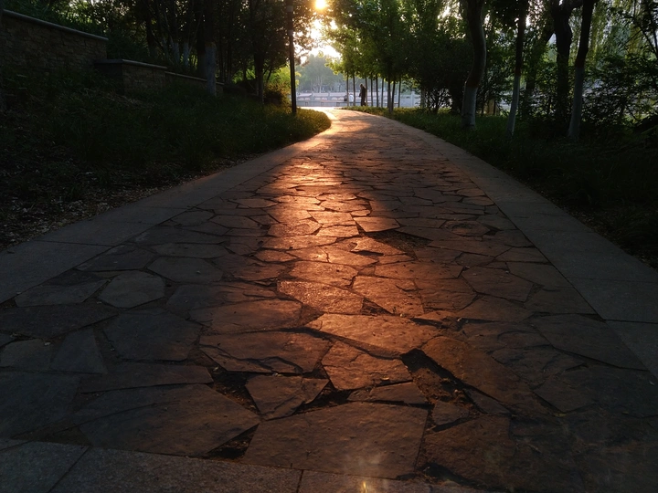 通往夕阳的路