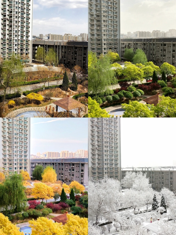 四季分明