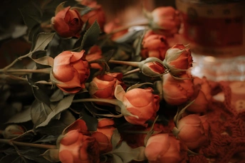 一束红玫瑰花在花瓶里