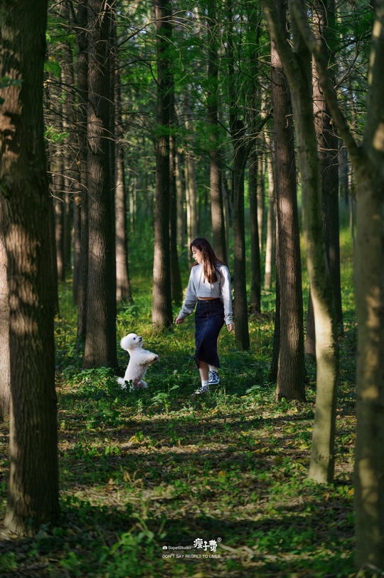 一位年轻女子带着一只小白狗穿越森林