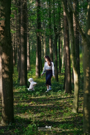 一位年轻女子带着一只小白狗穿越森林