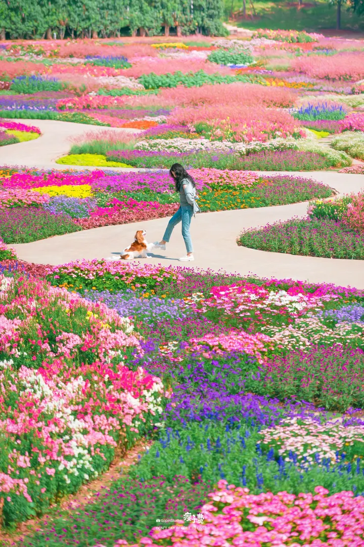 成都人有自己的莫奈花园