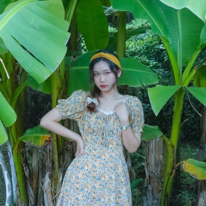 芭蕉叶